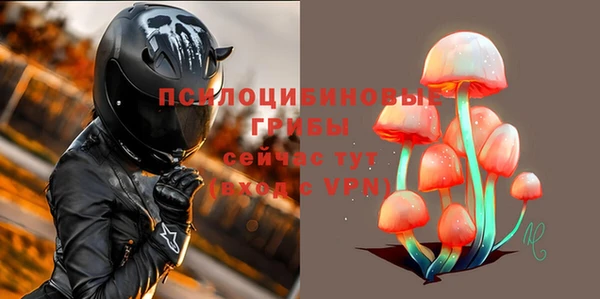 прущий лед Абаза