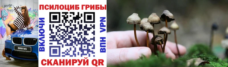 Галлюциногенные грибы ЛСД  Ковдор 
